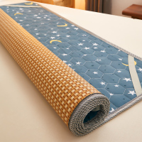 冬夏两用凉席藤席子2021年双面单人学生宿舍折叠冰丝席床垫可定做