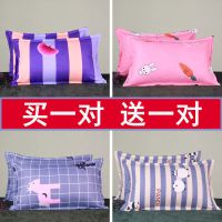 拉链枕套一对单人枕头套成人学生48x74枕头罩加厚磨毛枕芯套