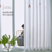 小窗帘免打孔安装窗纱白纱帘透光不透人卧室客厅现代简易飘窗阳台