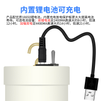 调速赶苍蝇神器电动驱蚊转飞虫充电小吊扇三轮车摆摊电风扇室外用