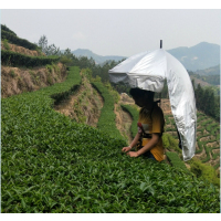 采茶伞可背式遮阳伞防晒头戴伞双层大号摘茶伞户外垂钓头顶雨伞帽