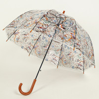 雨伞女 新款印花泡泡伞拱形伞芭蕉叶豹纹鸟自动长柄伞透明伞