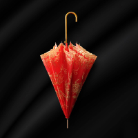 高档结婚红伞新娘伞红色婚庆用的大红伞中式婚礼红雨伞出嫁伞