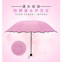 推荐遇水开花黑胶防晒雨伞太阳女士三折伞晴雨两用雨伞