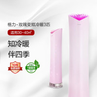 [样机]格力 玫瑰3匹