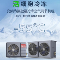 扬子空调 变频热氟融霜冷库空气调节机组 低至零下55度宽温域冷冻冷藏 018DWf(8至18立方米)220V电