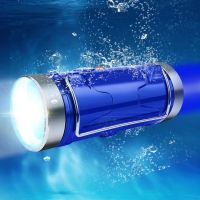 钓鱼灯亮夜钓灯夜光蓝白光大功率氙气灯强光台钓装备饵灯