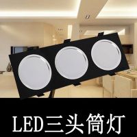 双头筒灯射灯双孔灯双排斗胆灯格栅灯天花灯射灯嵌入双头射灯