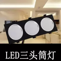 双头筒灯射灯双孔灯双排斗胆灯格栅灯天花灯射灯嵌入双头射灯
