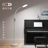 国aa护眼落地灯客厅卧室书房立式阅读落地台灯钢琴灯练琴专用
