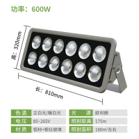 投射塔吊灯led投光灯户外防水亮蓝球场灯广场灯300w工地照明灯|亮芯片600w质保三年