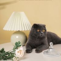 台灯卧室ins少女床头小夜灯韩国vintage北欧复古百褶礼物网红台灯