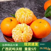 正宗广西南宁武鸣沃柑 净果5斤 精品大果 自然生长 不打药 不打蜡