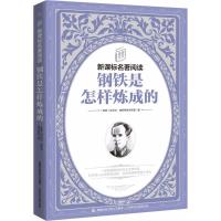 钢铁是怎样炼成的/童趣文学名著阅读