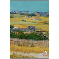 文森特·梵·高(画大师)