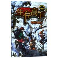 生存高手(4勇闯夺命谷)