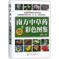 南方中草药彩色图鉴(精)