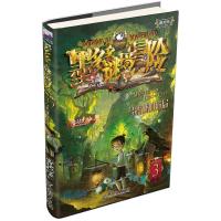 墨多多谜境冒险(阳光版3乌鸦城的诡局)