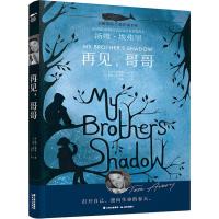 再见哥哥/白鲸国际大奖作家书系