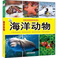 海洋动物/好奇心大百科丛书