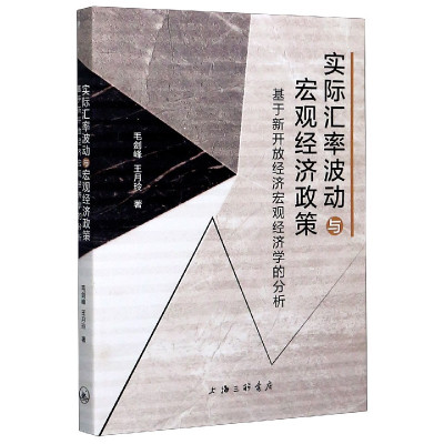 实际汇率波动与宏观经济政策(基于新开放经济宏观经济学的分