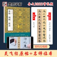 灵飞经实临视频技法