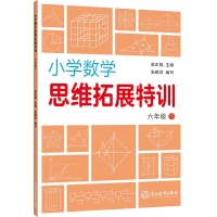 小学数学思维拓展特训(6下)