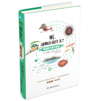 两栖爬行类与鱼类/听，动物在说什么？（一本可以听到动物声