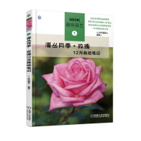 灌丛月季玫瑰12月栽培笔记/趣味园艺