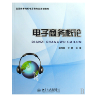 电子商务概论(全国高等院校电子商务类规划教材)