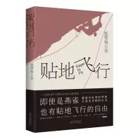 贴地飞行
