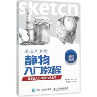 素描手把手(静物入门教程)