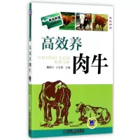 高效养肉牛(双色印刷)/高效养殖致富直通车