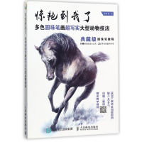 惊艳到我了(多色圆珠笔画超写实大型动物技法)