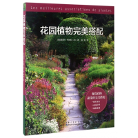 花园植物完美搭配