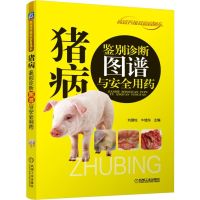 猪病鉴别诊断图谱与安全用药/高效养殖致富直通车