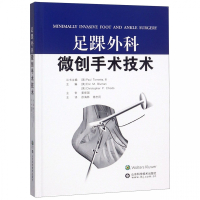 足踝外科微创手术技术(精)