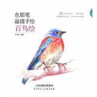 色铅笔温情手绘 百鸟绘