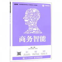 商务智能(职业技能培训测评项目电子商务方向指定教材)