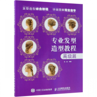 专业发型造型教程(高级篇)