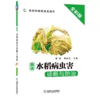 图说水稻病虫害诊断与防治(全彩版)/高效种植致富直通车