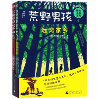 荒野男孩探险小说系列(共4册)