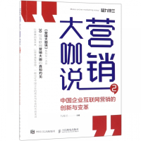 营销大咖说(2中国企业互联网营销的创新与变革)