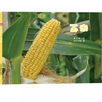 玉米(精)