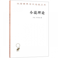 小说理论/汉译世界学术名著丛书