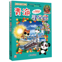 青海寻宝记/大中华寻宝系列