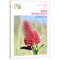 摇晃在那年夏天的阳光/我的青春我的梦全国中学生校园美文精