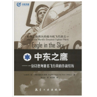 中东之鹰--一位以色列著名飞行员的作战经历