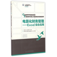 电算化财务管理--Excel综合应用(21世纪高等学校经
