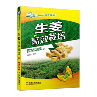 生姜高效栽培(双色印刷)/高效种植致富直通车